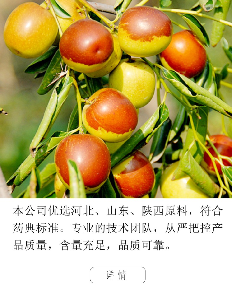 酸棗仁提取物